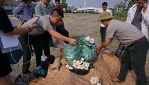 chi cuc thi hanh an dan su ha noi tieu huy gan 1 ta nga voi