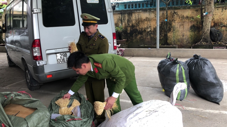 Lạng Sơn: Thu giữ gần 500kg thuốc bắc không rõ nguồn gốc xuất xứ