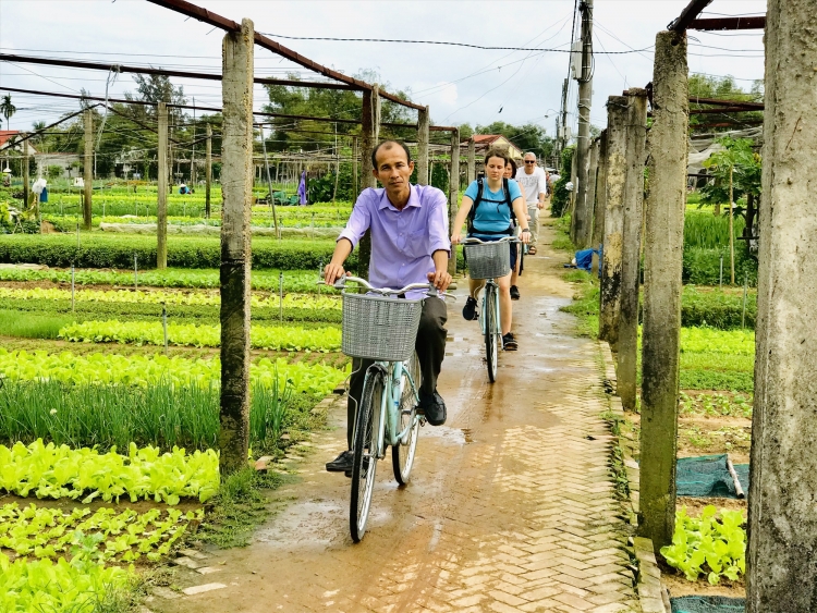 quang nam hoan chinh tieu chi dau thau chuong trinh sua hoc duong