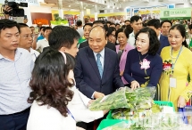 Thủ tướng Nguyễn Xuân Phúc: Xây dựng nông thôn mới là luồng gió thay đổi diện mạo nông thôn Thủ đô