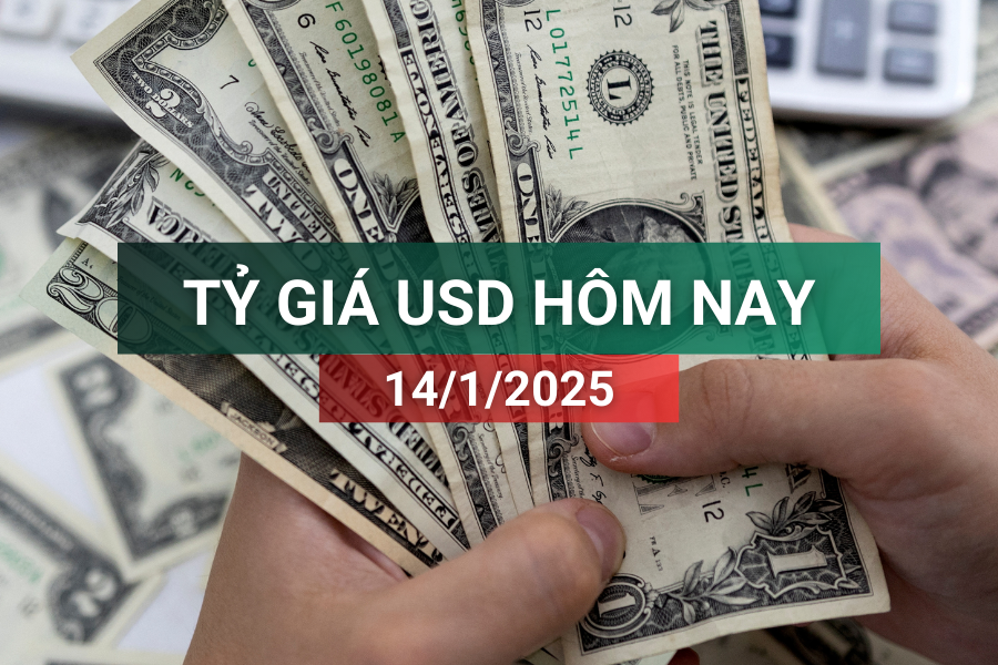 Tỷ giá USD hôm nay 14/1/2025: Bất ngờ giảm