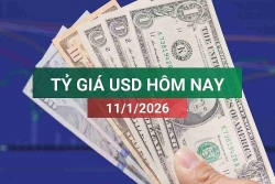 tin tuc ty gia usd hom nay 1112026