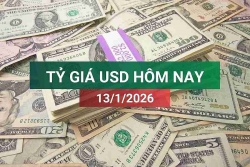 tin tuc ty gia usd hom nay 1312026