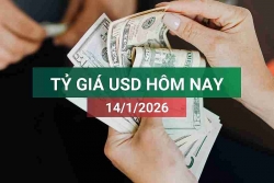 tin tuc ty gia usd hom nay 1412026