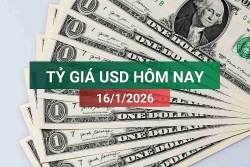 tin tuc ty gia usd hom nay 1612026
