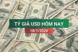 tin tuc ty gia usd hom nay 1812026