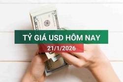 tin tuc ty gia usd hom nay 2112026