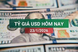 tin tuc ty gia usd hom nay 2312026