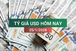 tin tuc ty gia usd hom nay 2512026