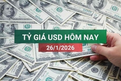 tin tuc ty gia usd hom nay 2612026