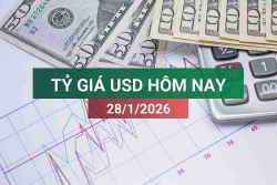 tin tuc ty gia usd hom nay 2812026