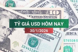 tin tuc ty gia usd hom nay 3012026