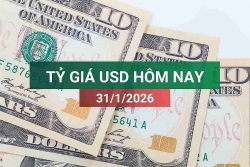 tin tuc ty gia usd hom nay 3112026