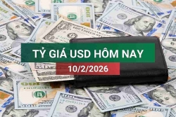 tin tuc ty gia usd hom nay 1022026