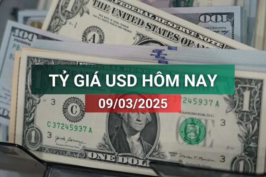 Tin tức tỷ giá USD hôm nay 9/3/2025