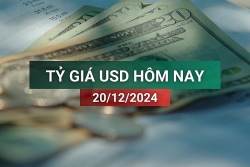 Tỷ giá USD hôm nay 20/12/2024: Bật tăng mạnh mẽ