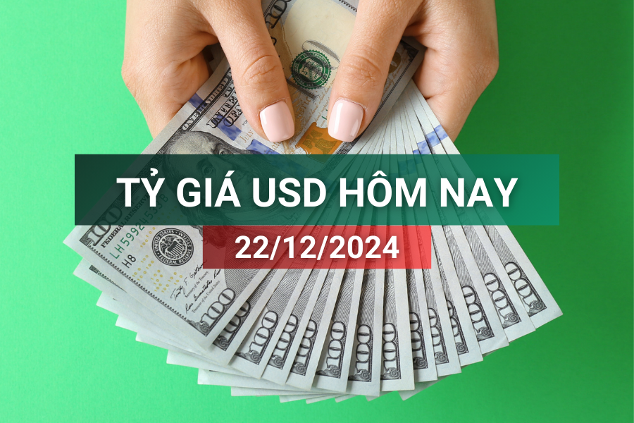 Tỷ giá USD hôm nay 22/12/2024: Ngân hàng trong nước tăng