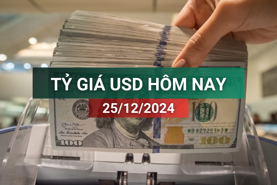 Tỷ giá USD hôm nay 25/12/2024: Tỷ giá trung tâm bật tăng mạnh