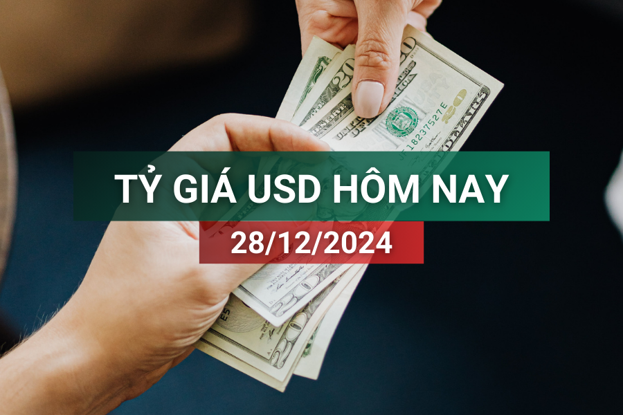 Tỷ giá USD hôm nay 28/12/2024: Cuối tuần đi xuống