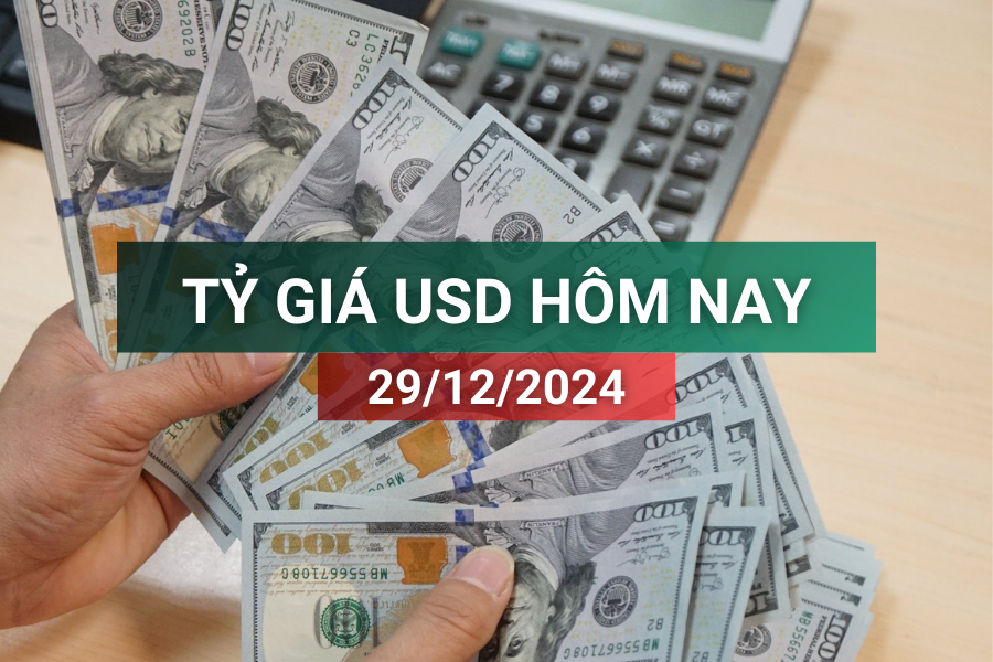 Tỷ giá USD hôm nay 29/12/2024: Giữ đà tăng tuần