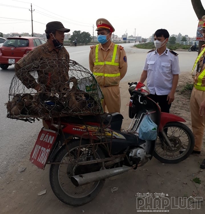 thanh lap doi kiem dich co dong lien nganh tren dia ban tinh bac ninh