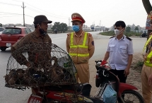 thanh lap doi kiem dich co dong lien nganh tren dia ban tinh bac ninh