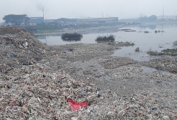 de nghi xu ly nghiem nguon khien song cau bi o nhiem