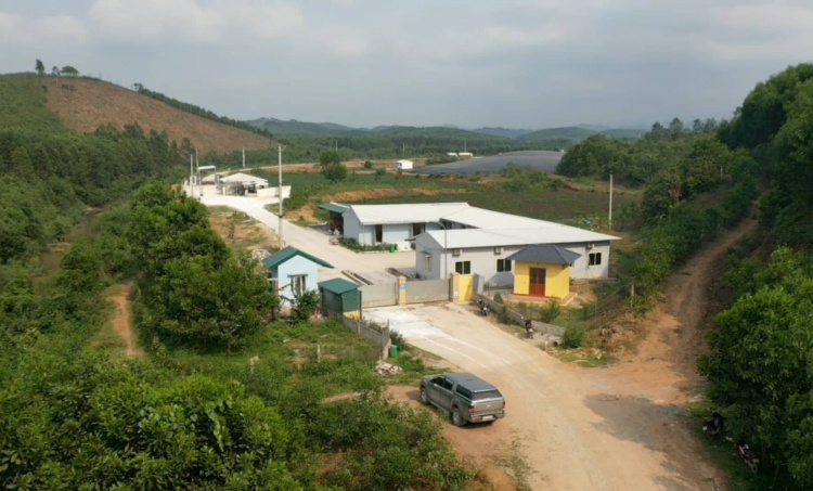 Công ty chăn nuôi Hòa Phát tiếp tục “bức tử” môi trường