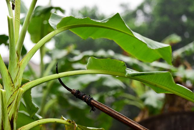 nguoi phu nu hon 35 nam hai la chuoi muu sinh o ha noi