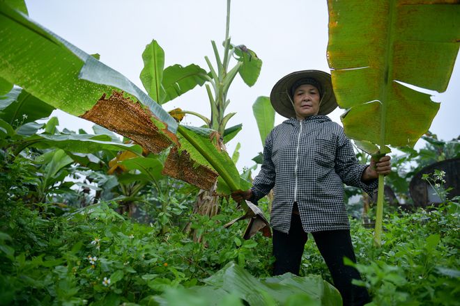 nguoi phu nu hon 35 nam hai la chuoi muu sinh o ha noi