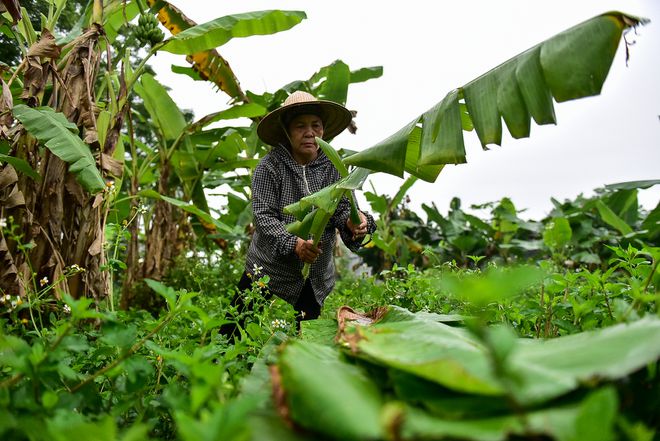 nguoi phu nu hon 35 nam hai la chuoi muu sinh o ha noi