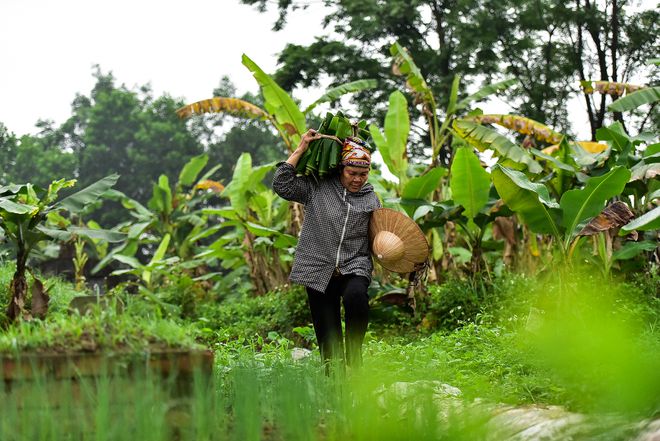 nguoi phu nu hon 35 nam hai la chuoi muu sinh o ha noi