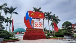 bac ninh ruc ro co hoa chao mung dai hoi dang bo tinh lan thu xx