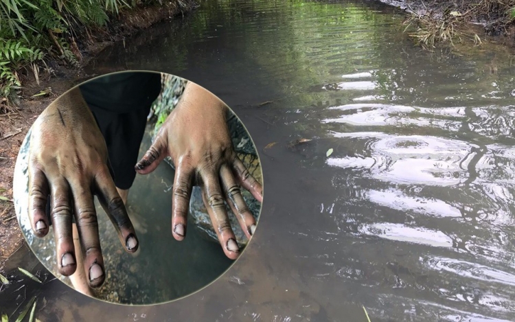 Tổng hợp cuối tuần: Chuỗi sự cố môi trường khiến người dân Thủ đô “hoảng loạn”