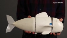 Mỹ sáng chế ra Robot cá lặn sâu 15m