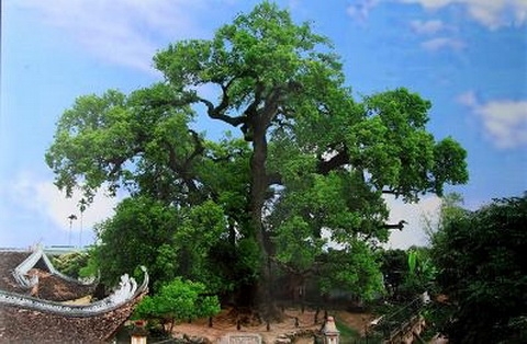 Bắc Giang: Huyện Lạng Giang được Chính phủ công nhận đạt chuẩn nông thôn mới