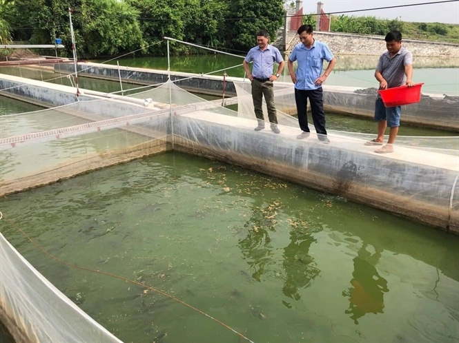 Bắc Ninh: Nâng cao công tác phòng, chống một số dịch bệnh trong chăn nuôi thủy sản