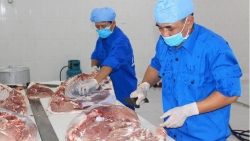 Gấp rút chuẩn bị nguồn thực phẩm phục vụ Nhân dân Thủ đô dịp Tết