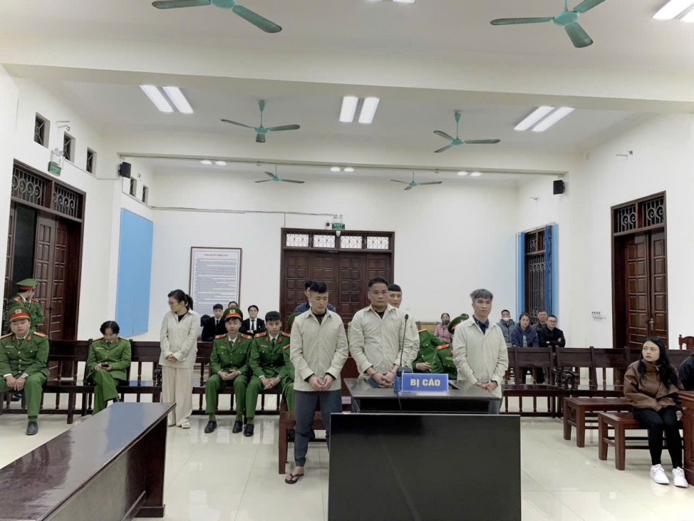 Trộm cắp tài sản để bán lấy tiền tổ chức sử dụng trái phép chất ma túy