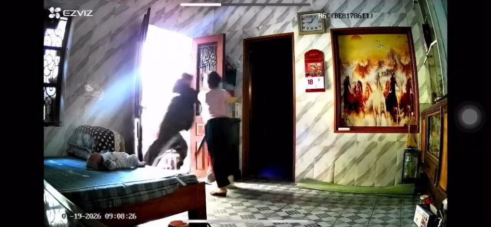 Hình ảnh cắt từ clip