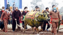Chủ tịch nước Nguyễn Xuân Phúc xuống đồng cày ruộng trong lễ Tịch điền Đọi Sơn năm 2022