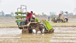 Các địa phương hối hả xuống đồng chuẩn bị cho vụ Xuân thắng lợi