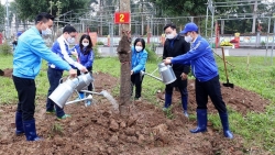 Tuổi trẻ Thủ đô phấn đấu trồng 100.000 cây xanh trên địa bàn thành phố