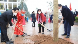 Phó Bí thư Thường trực Thành ủy Hà Nội Nguyễn Thị Tuyến dự phát động Tết trồng cây tại huyện Thanh Trì