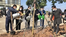 Nông dân Thủ đô hưởng ứng 