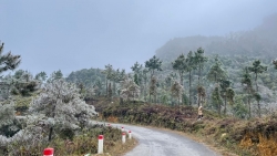 Miền Bắc đang trải qua đợt rét có nhiệt độ thấp nhất trong 40 năm