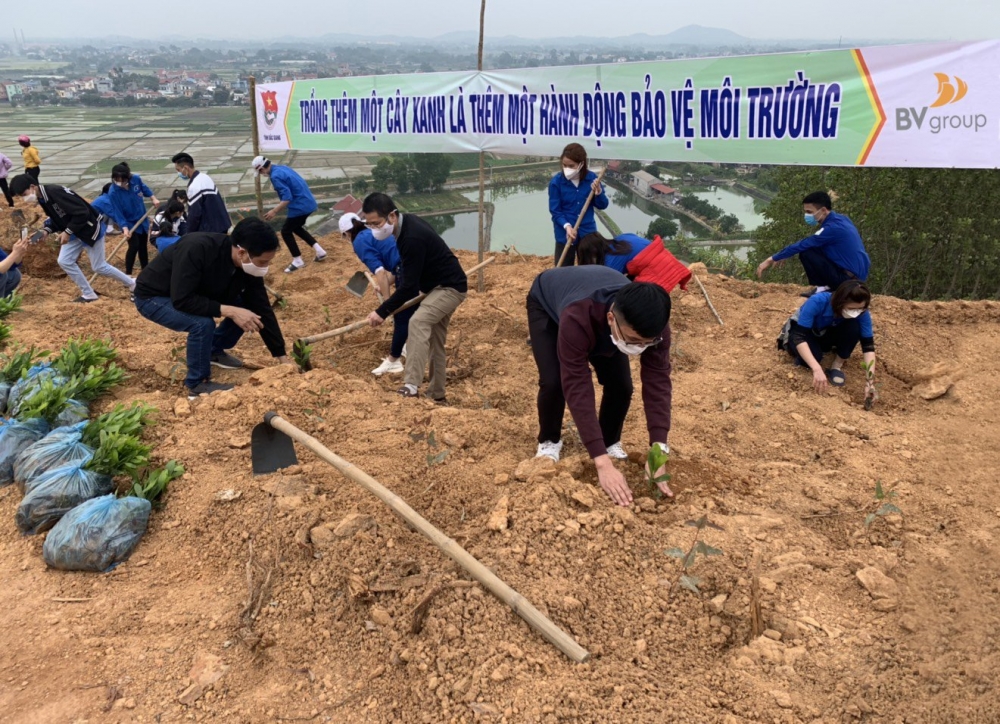 BV Group tài trợ 30.000 cây xanh cho Bắc Giang