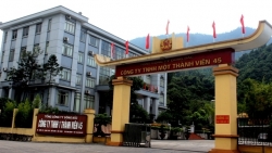 Công ty 45 - Chi nhánh Tổng Công ty Đông Bắc bị UBND tỉnh Bắc Giang xử phạt 860 triệu đồng