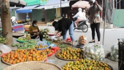 gia rau xanh hoa qua nhay mua theo tinh hinh dich benh