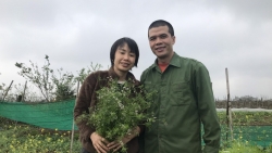 ngay 83 dac biet cua nu thac si bo pho ve que trong rau